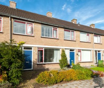 Balsemkruid 24 - Foto 2