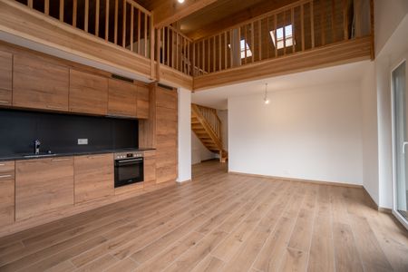 3.5 pièces dans bâtiment neuf à louer à l'année à Gryon - Foto 4