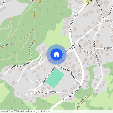 3975, Randogne, Route Des Taulettes