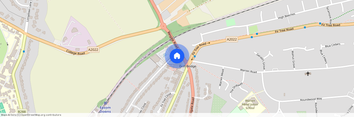The Driftbridge, Reigate Road, Epsom, Surrey, KT17