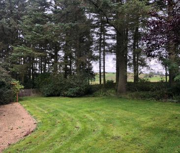 2 bedroom house to rent - Photo 3