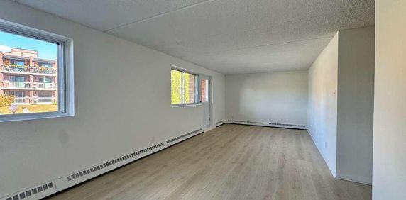 Grand appartement éclairé et chauffé - Photo 2