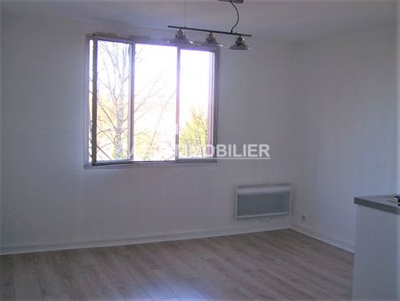 Location Appartement 1 pièce 21m² - Photo 4