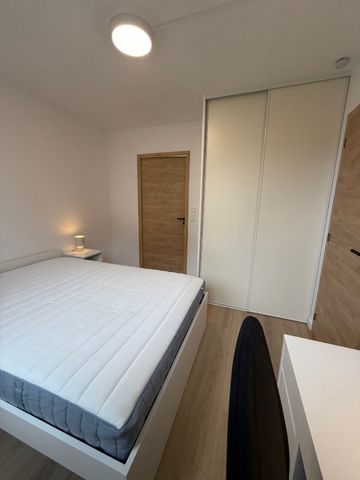 Appartement 2 pièces à Nancy - Photo 5