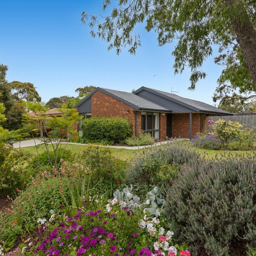 Settle into court-side comfort just in time for the festive season. - Photo 1