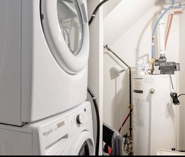 For Lease - 72 Grace Street N/A Unit# Main Floor, Toronto, Ontario - Photo 3