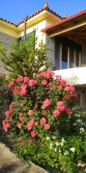 Διαμέρισμα για ενοικίαση - Ευρωστίνη, - Photo 1