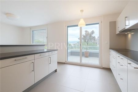 Magnifique appartement contemporain avec spacieuse terrasse - Photo 4