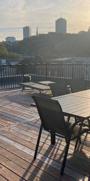 Magnifique et lumineux 4 1/2 quartier St-Sauveur - Photo 1