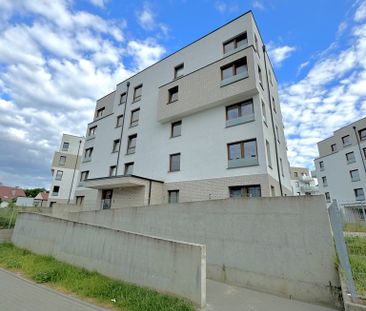 mieszkanie na wynajem Szczecin Gumieńce - Фото 5