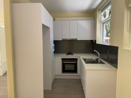 Renovated Ground Floor North-facing Stunner - Photo 4