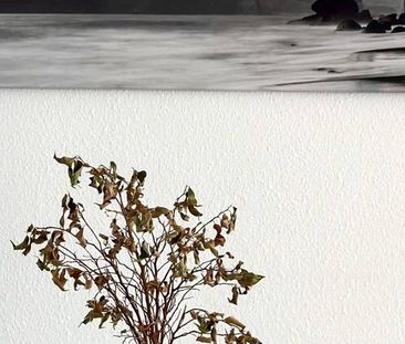 3 bedroom luxury Townhouse for rent in Nueva Andalucia, Andalusia - Photo 2