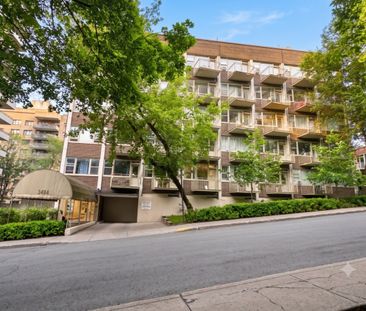 3484 Rue Stanley, #306 - Photo 3