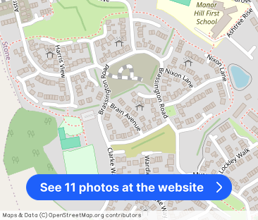 Brain Avenue, Stone - Photo 1