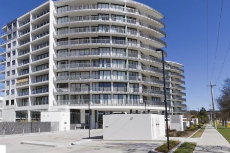 154/1 Mouat Street, Lyneham - Photo 5