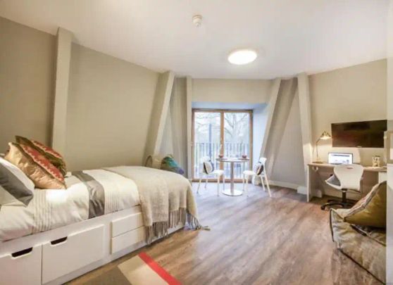 Deluxe Studio - Photo 1