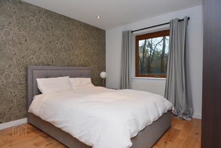 Park Royal, 841e Lisburn Road, Belfast, BT9 7GY - Photo 4