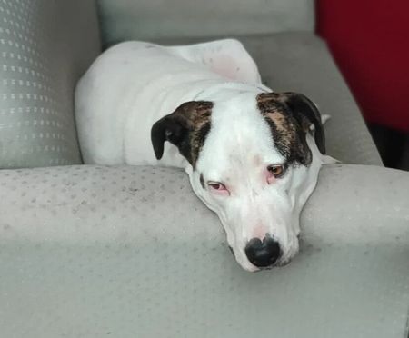 Glen Waverley - Photo 2