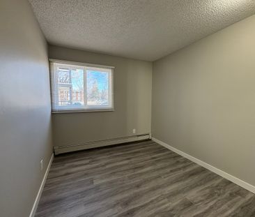 Amazing 2 Bedroom Apartment on Quiet Close!! - Photo 4