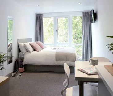 Silver Deluxe Accessible - Studio - Photo 6