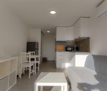 Location Appartement 1 pièce Meublé 17m² LA LONDE LES MAURES 83250 - Photo 2