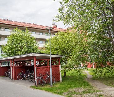 Ankarskatavägen 87 A, 94134, Piteå - Foto 3