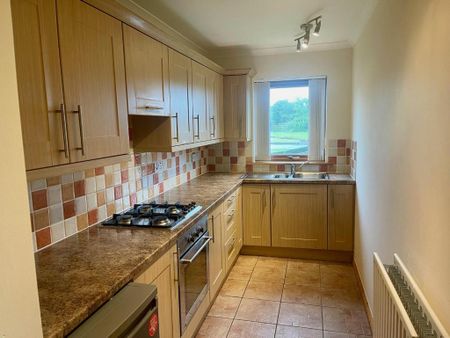 2 bedroom detached bungalow to rent - Photo 5