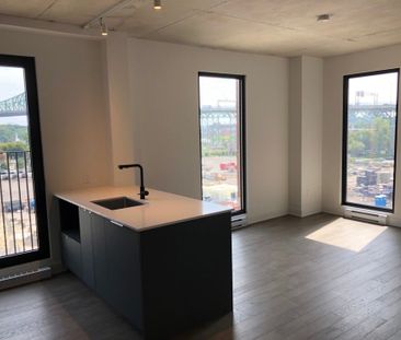 2180 Rue Ste-Catherine E., app.652, H2K 0C9, Montréal - Photo 3