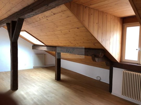 Magnificent 5.5-room villa in a green and quiet setting - Photo 1