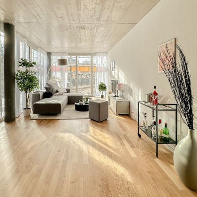 Erstbezug in Reinach: 4.5-Zimmer-Wohnung mit Stil und Komfort - Photo 1