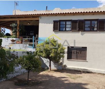 Μονοκατοικία για ενοικίαση - Ανάβυσσος - Photo 4