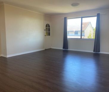 Convenient Location - Two Bedroom Unit! - Photo 3