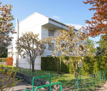Appartement de 5 pièces en rez de jardin avec sous-sol aménagé - Foto 3