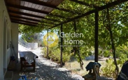 Ενοικίαση, Κατοικία, Διαμέρισμα - Photo 2