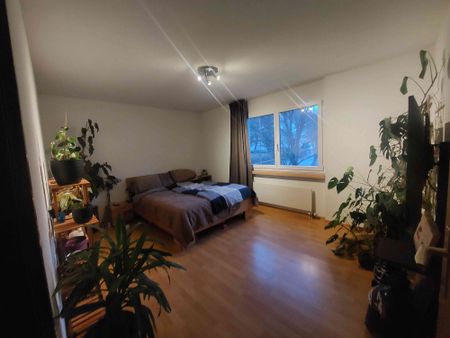 3.5 Zimmer, 75 m², 1. Stock - Photo 4