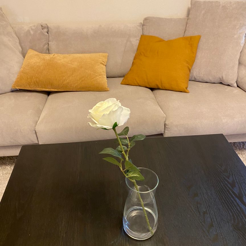 Ripstigen, Långviksmon - Photo 1