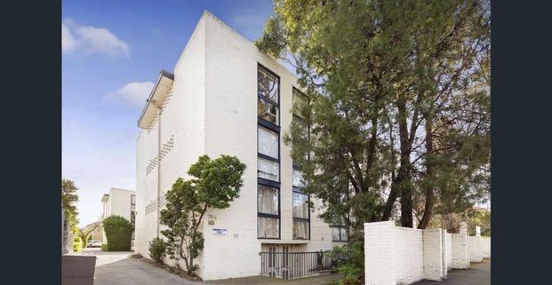 LIGHT-FILLED TWO BEDROOM APARTMENT IN PRIME LOCATION - Photo 1