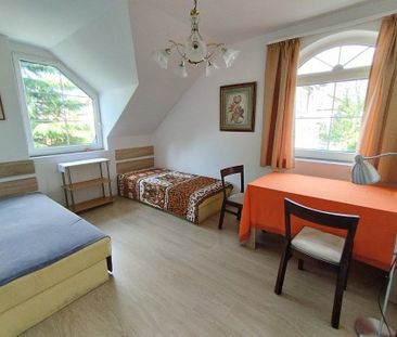 Veres Péter street House - Photo 6