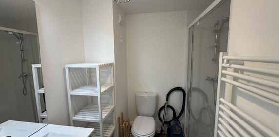 Location Appartement 1 pièce Meublé 17m² NANTES 44300 - Photo 2