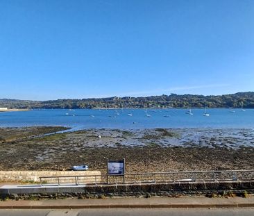 Location Appartement 1 pièce 37m² - Photo 3