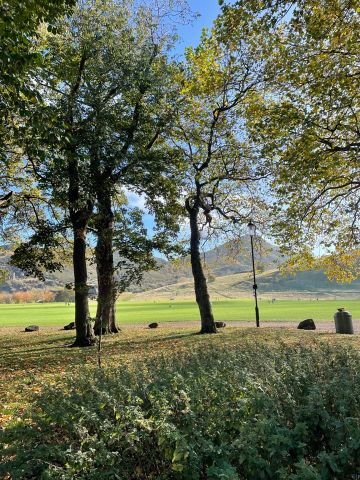 1 Bed Flat, Milton Street, EH8 - Photo 5