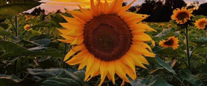 Hofgemeinschaftsgründung-nahe Ottersberg - Photo 1