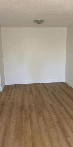 1 CH - 1 SDB - Gatineau - $1,495 /mo - Photo 1