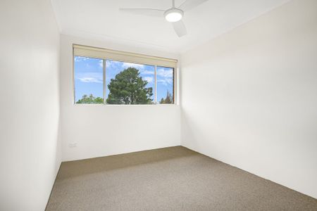 Oversized Updated Apartment - Photo 2