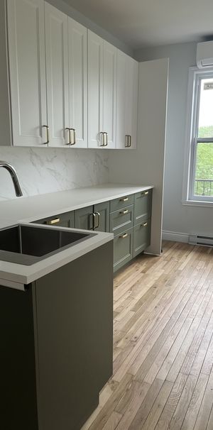 Plateau Mont-Royal | Superberbe 3 1/2 - Photo 1