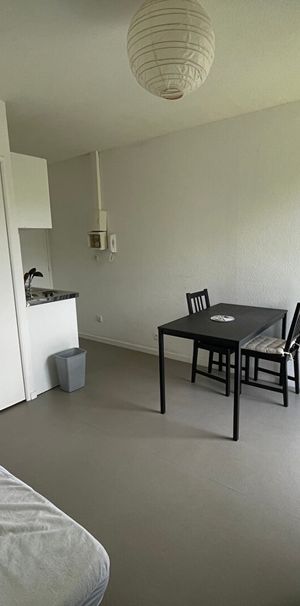Location Appartement 1 pièce 16m² RENNES 35000 - Photo 1