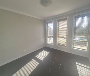 Beautiful Basil - Photo 4