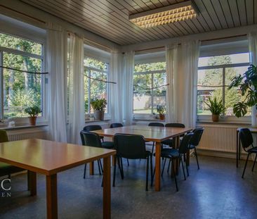 Oase im Grünen! Naturnahe 1-Zimmer-Wohnung mit vielen Extras in Holxen - Photo 4