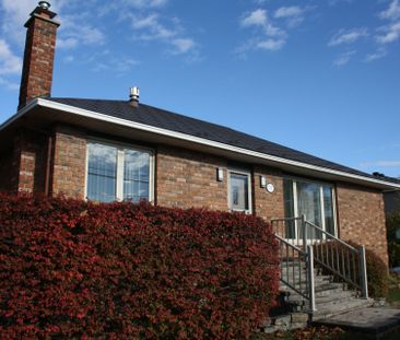 For Lease - 1781 Queensdale Avenue, Blossom Park - Airport and Area... - Photo 2