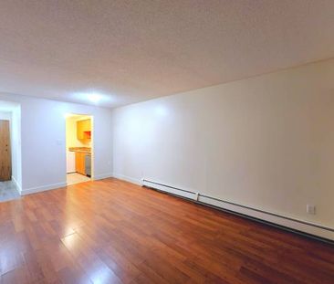 New Westminster 1 bedroom apartment available on February 1st - Photo 3